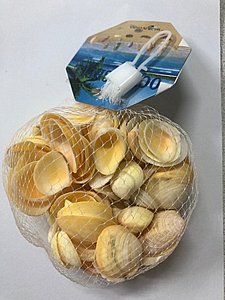 צדפים רגילים 110 גר' סיר שב צדפים רגילים 110 גר' סיר שב