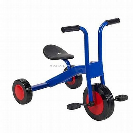 ��� ���� ���� ����