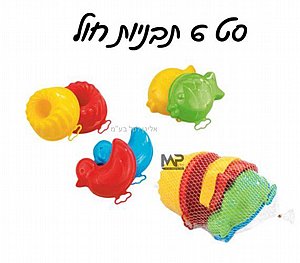 �� 6 ������ ���