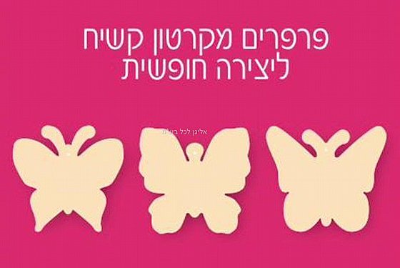 ����� ������ ������ ����� 12 ������