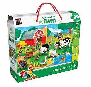 ���� ���� 24 �����