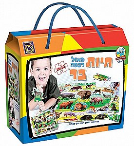 ���� ���� ��