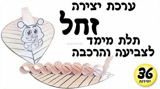 ���� ����� ��� ��� ���� ������ 36 ������