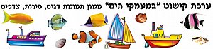 ערכת קישוט במעמקי הים ערכת קישוט במעמקי הים