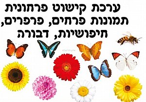 ערכת קישוט פרחונית לאביב ערכת קישוט פרחונית לאביב