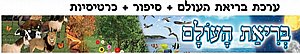 ערכת קישוט וסיפור בריאת העולם ערכת קישוט וסיפור בריאת העולם