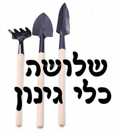 �� 3 ��� �����