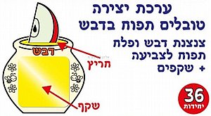 ערכת יצירה טובלים תפוח בדבש כולל שקפים 36 יחידות ערכת יצירה טובלים תפוח בדבש כולל שקפים 36 יחידות