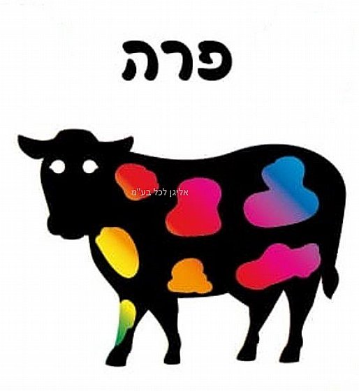 ��� ��� ��� 18 ������
