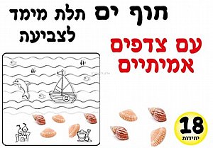 ערכת יצירה חוף ים עם צדפים אמיתיים 18 יחידות ערכת יצירה חוף ים עם צדפים אמיתיים 18 יחידות