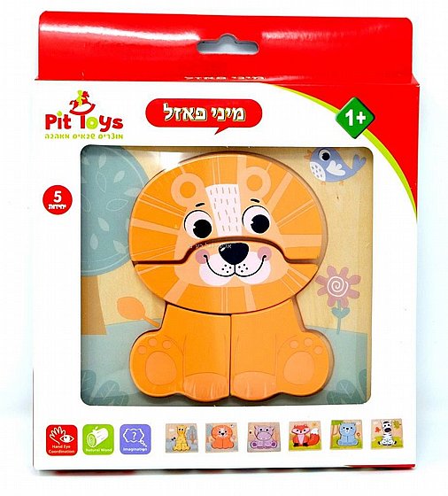 ���� ���� ����