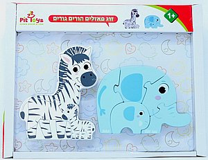 ���� ����� ����� ��� �����