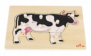 ���� ����� ���