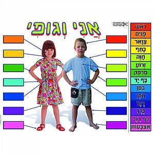 פלקט אני וגופי פלקט אני וגופי