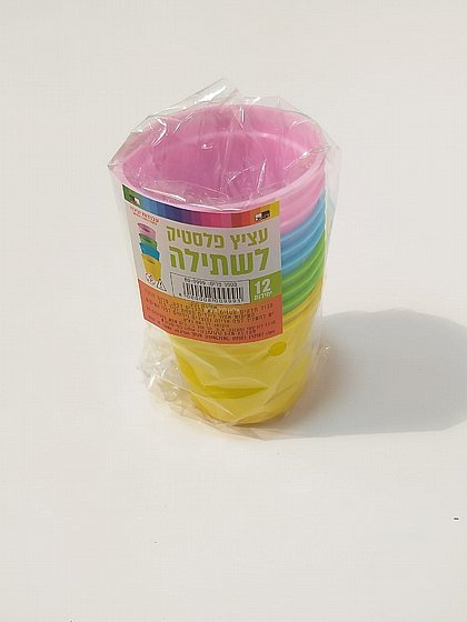 �� 12 ���� ������ ������ ����� ����