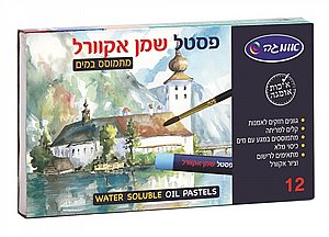פסטל שמן אקרוול 12 יחידות אומגה פסטל שמן אקרוול 12 יחידות אומגה