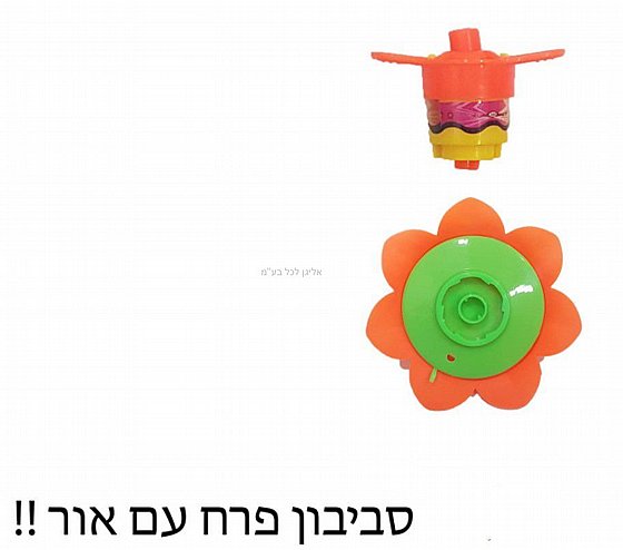 ������ ��� + ���� ����