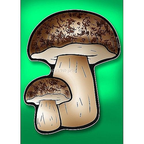 ����� ����� �� ��� ���� 36 ������