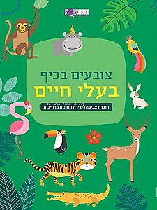 ������ ���� ���� ���� 