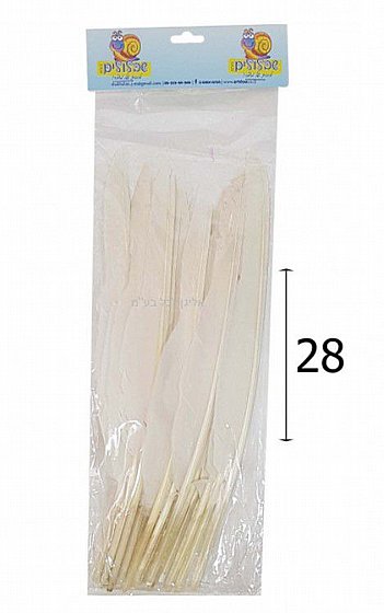 ����� ����� 18 ������