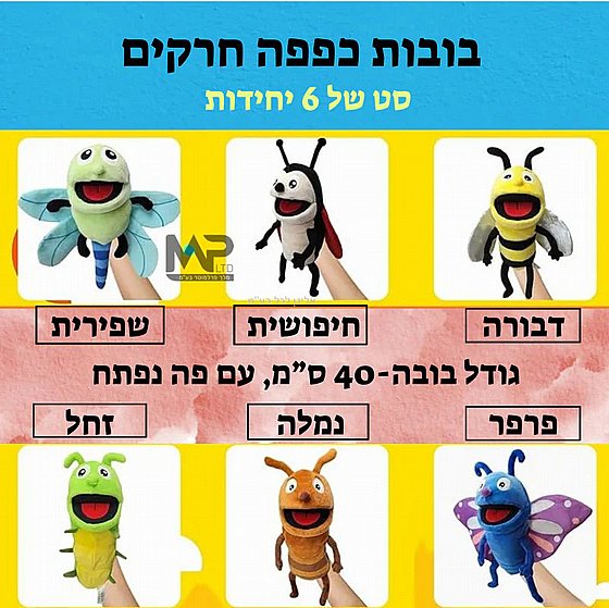 ����� ���� ����� �� ���� ������ �� 6 ������