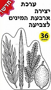 ערכת יצירה ארבעת המינים 36 יחידות ערכת יצירה ארבעת המינים 36 יחידות