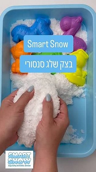 ���� ���� ������ ���� ���� 6 ������ ����