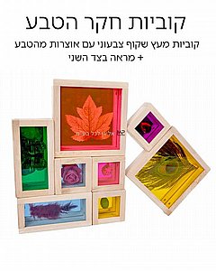 �� 8 ������ �� ������ ��� ���� ���� ����