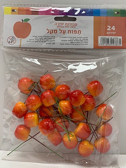 �� 24 ���� / ����� �� ���